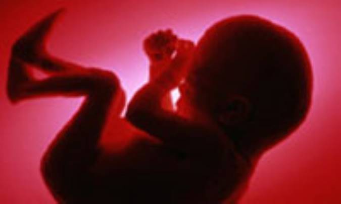 اقدامات و آزمايشات تشخيصي بارداری