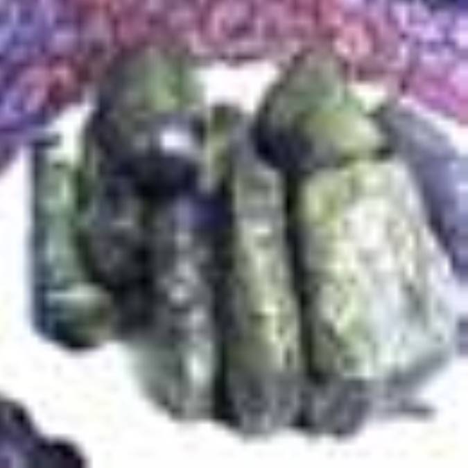 دلمه برگ مو