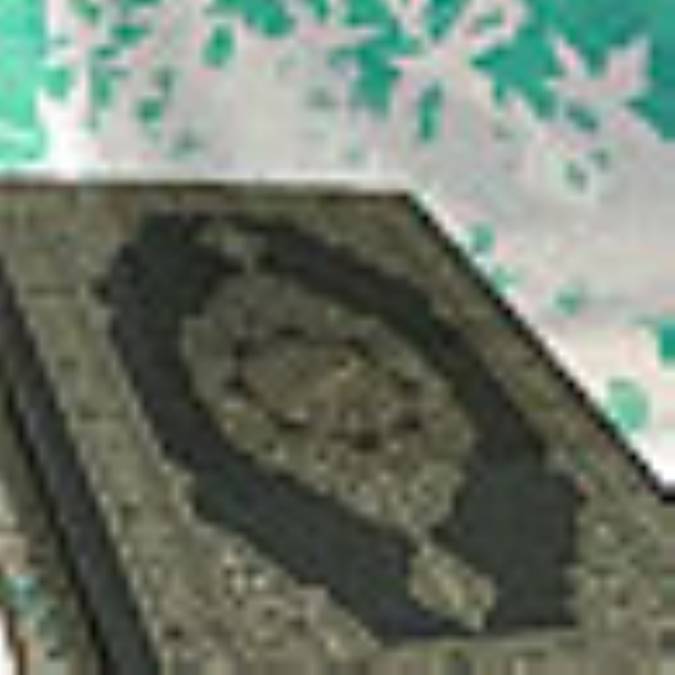 ولادت يحيي و شهادت زكريا (ع)