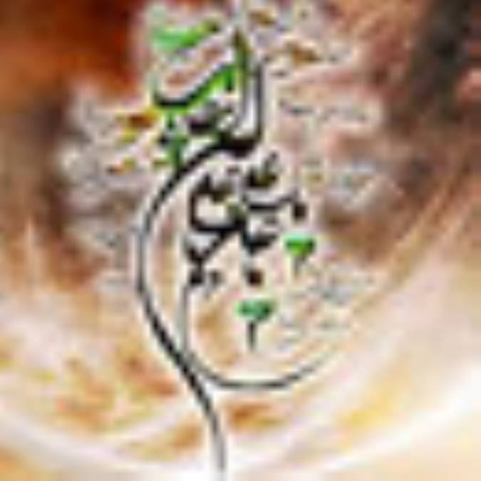 بررسی بیعت امیر المؤمنین با خلیفه اول (2)