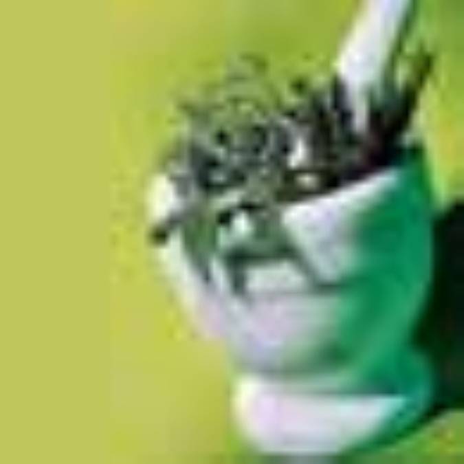 آشنايي با برخي از منابع مهم در طب سنتي 
