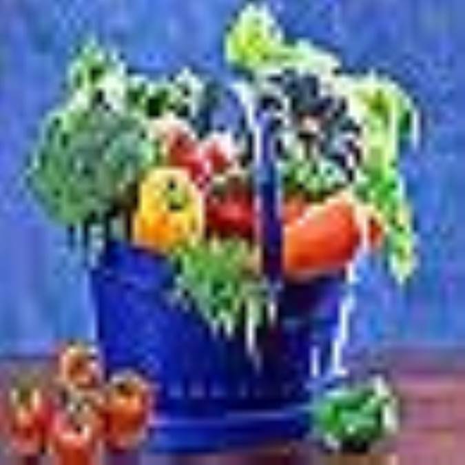 بشقاب سبزيجات چند رنگ 