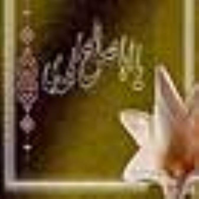 تشرفات بین نفی و اثبات (1)