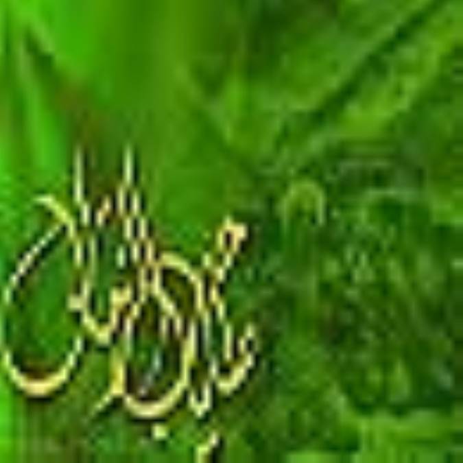 تشرف ابوالقاسم حاسمى و رفيع الدين حسين 