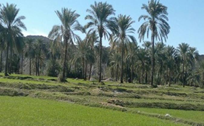 مقبره‎ی بی‌بی مرتضی علی