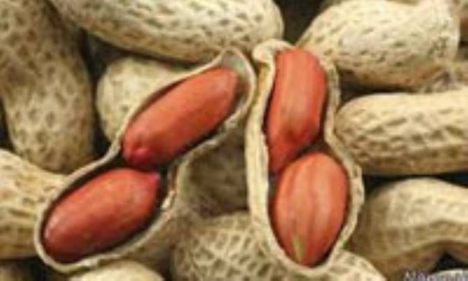 فوائد بادام زمینی در سلامت