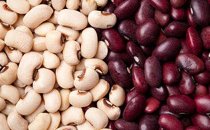 معرفی لوبیا سفید و قرمز و خواص درمانی آن