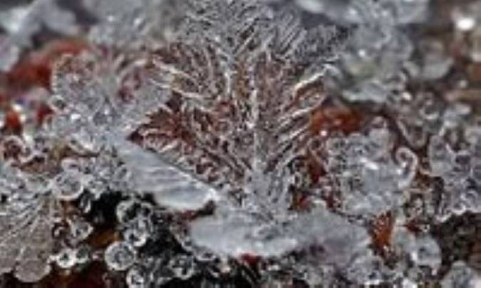 فرایندهای دینامیکی در بلور نگاری