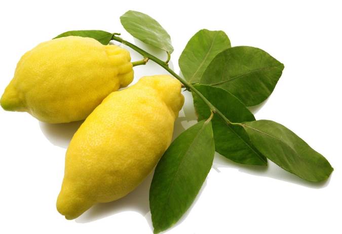 فواید و خواص میوه ترنج برای بدن