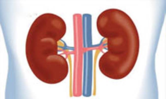 درد کلیه: علائم و درمان