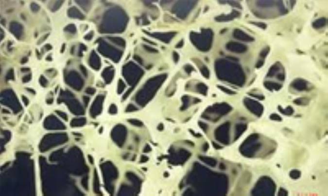 لیستی از خواص متناقض