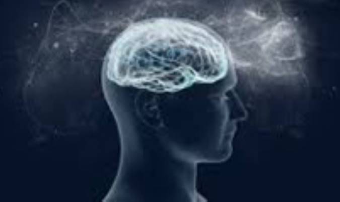 درمان گیاهی كمبود حافظه