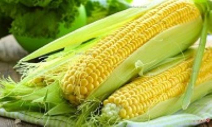 آیا مصرف ذرت برای شما مفید است؟