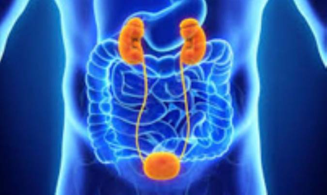 بیماری‌های مثانه