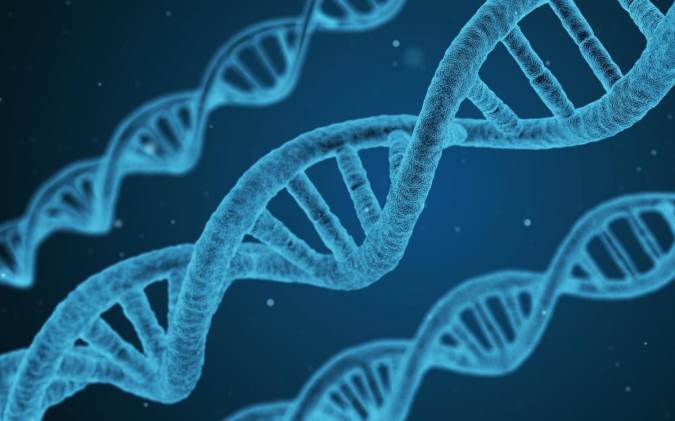 این ویژگی ها از طریق ژن به ما می رسد