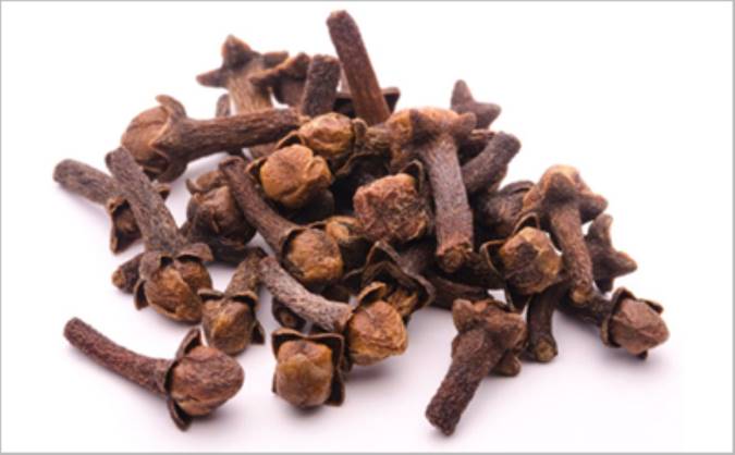 معرفی میخک و خواص درمانی آن