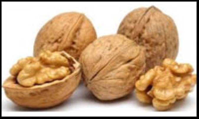 فوائد روغن گردو در سلامت