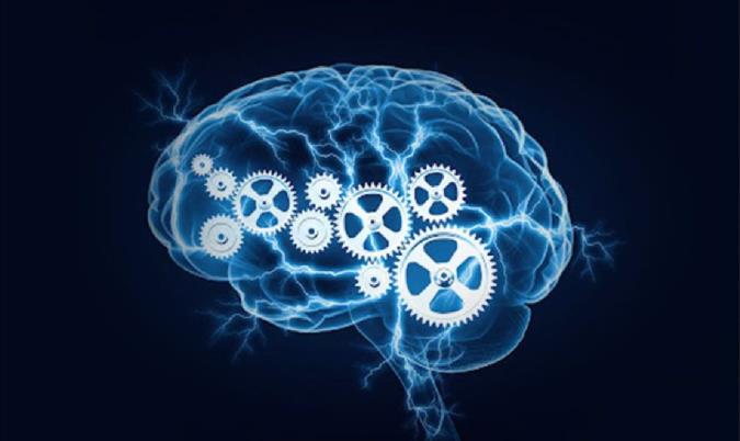 باهوش ترین افراد دنیا چه مهارت هایی کسب کردند؟