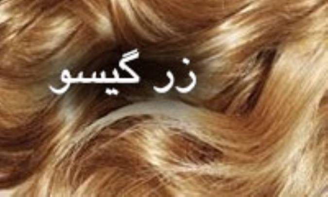زرگیسو