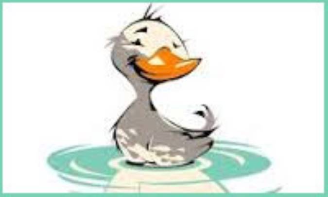 جوجه اردك زشت