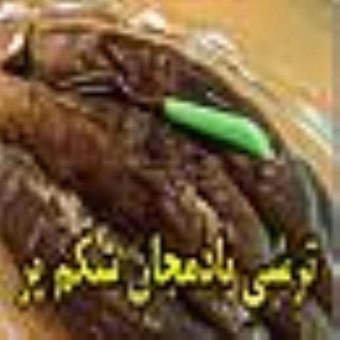ترشی بادمجان شكم پر