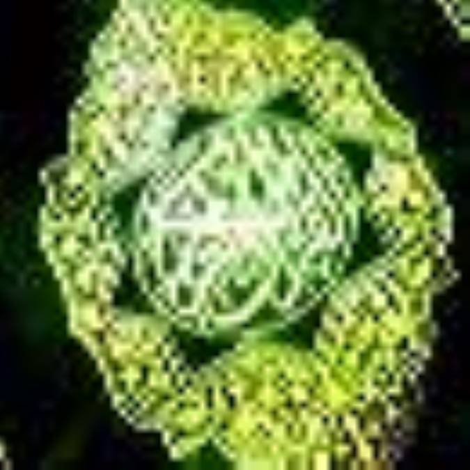 قرآن و تفاسیر گوناگون