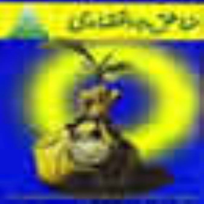 ماهنامه مناطق ويژه اقتصادي