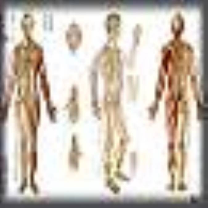 کاربرد طب فشاري در تجديد قواي حياتي