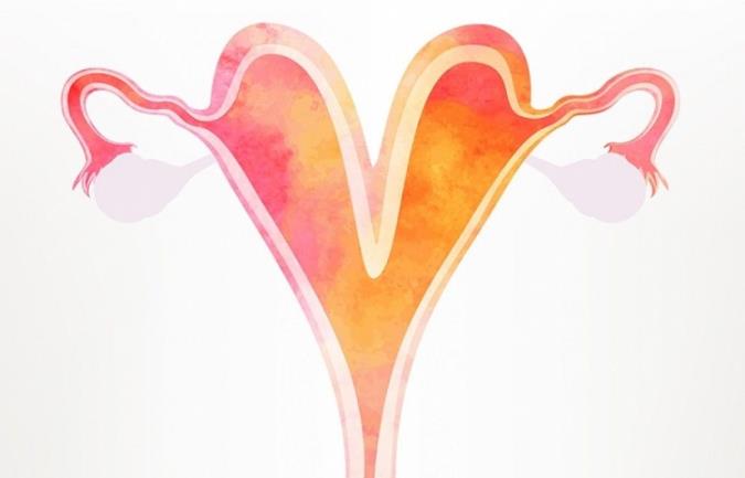 راجع به رحم دو شاخ چه میدانید؟