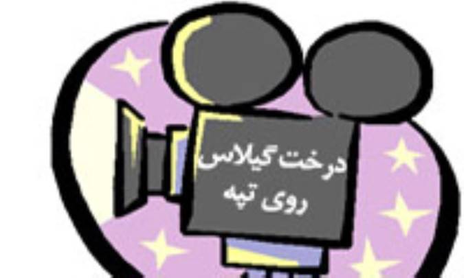 درخت گيلاس روي تپه