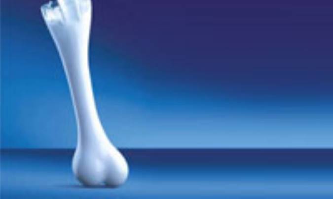 استخوان چگونه رشد مي‌کند؟