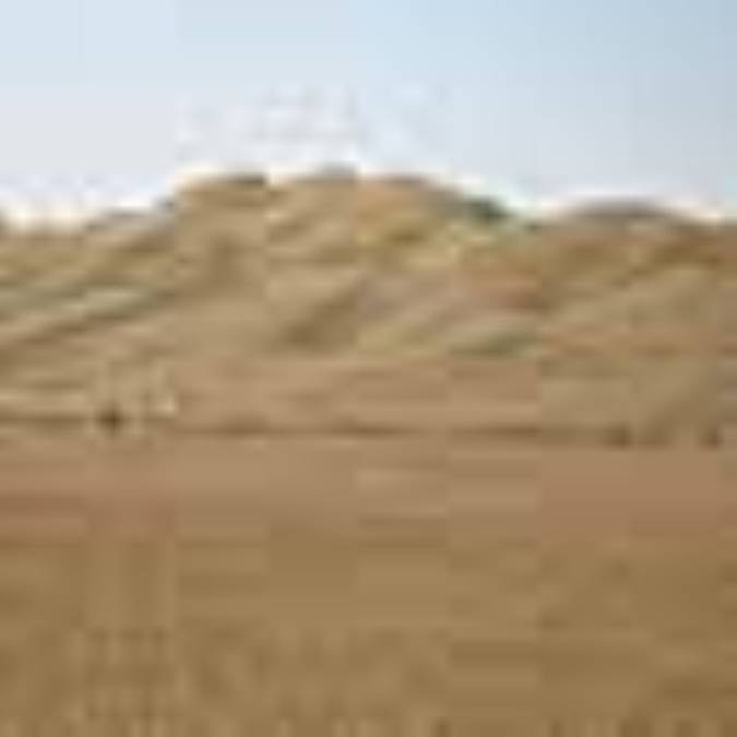 بیابان پشت ریگ