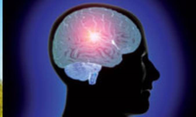 نکاتي در مورد مغز انسان