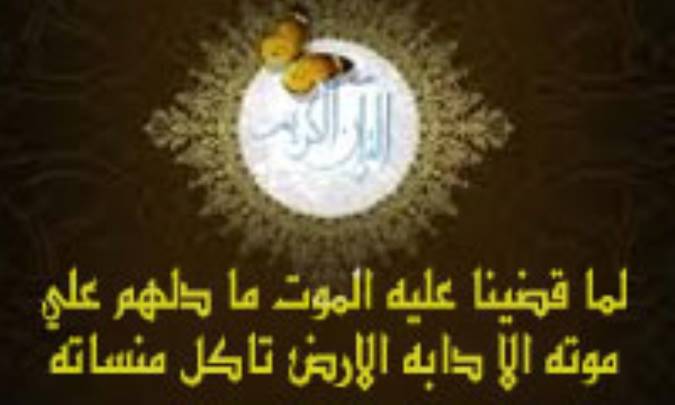 موريانه: دابه الارض