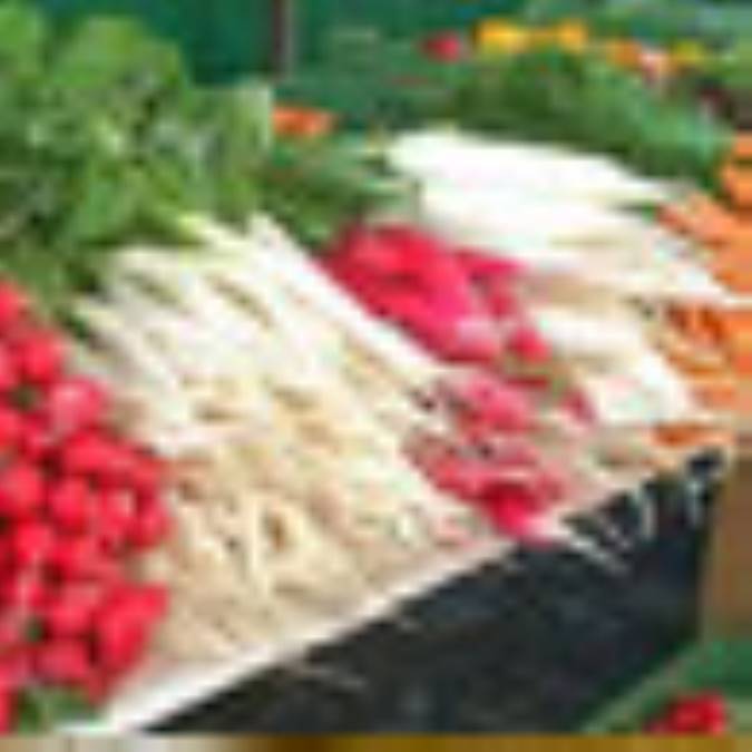 مراحل سالم سازي سبزي