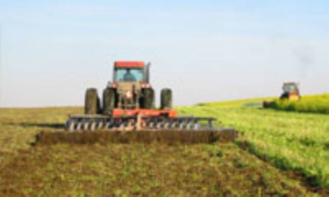 کشاورزي ارگانيک، راهي براي سالم ماندن 