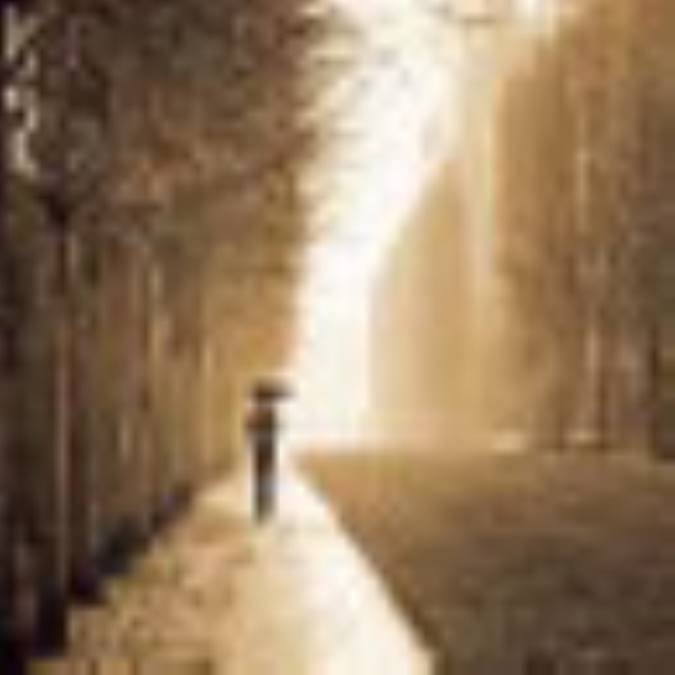 دنیا، سرجنگ ندارد 