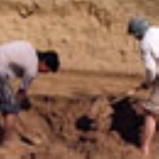 مثَل های کاری و کارهای مثَلی