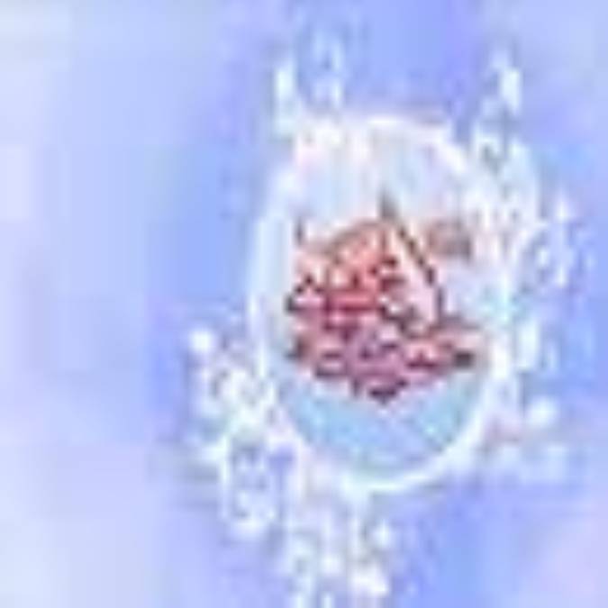 مشی مدبرانه امام حسن (ع)