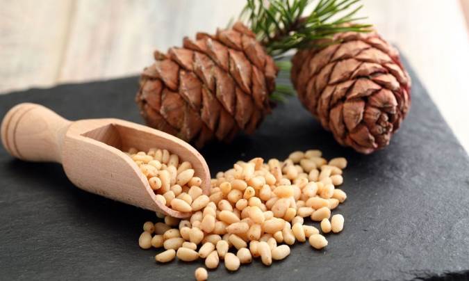 خواص باور نکردنی دانه درخت کاج