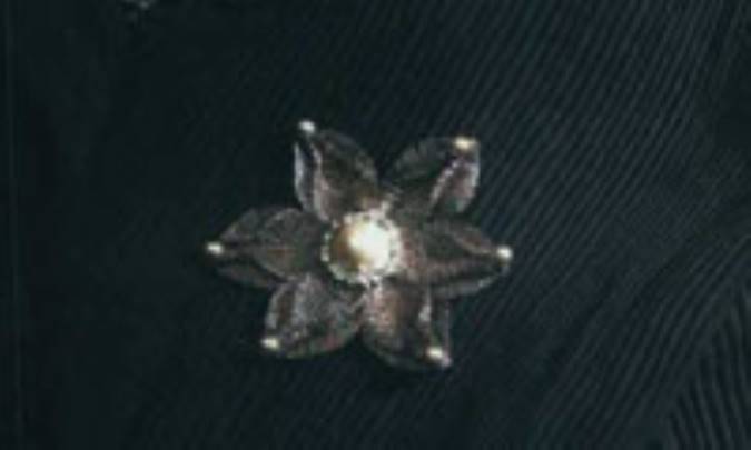 گل کوکب با متال (تيتانيوم)