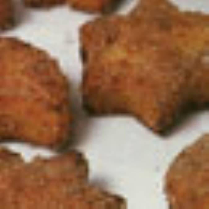 شير سرخ