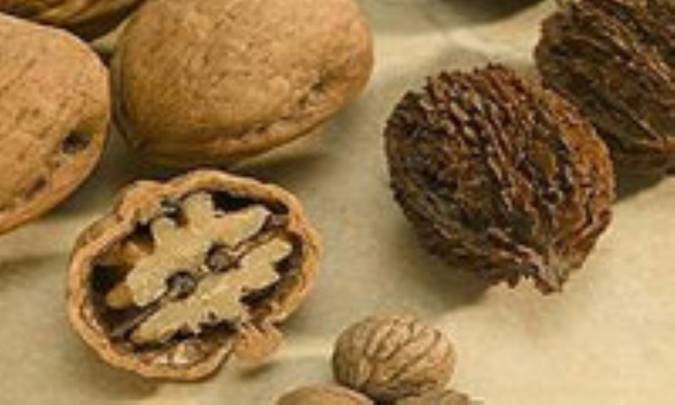 این ها را بخورید تا جوش نزنید