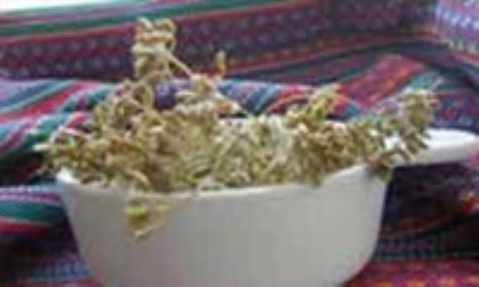 ترشی رازیانه