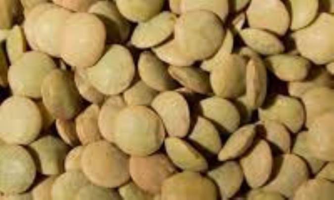 اطلاعاتی از ارزش غذایی عدس که روز شما را به طور کامل می‌سازد