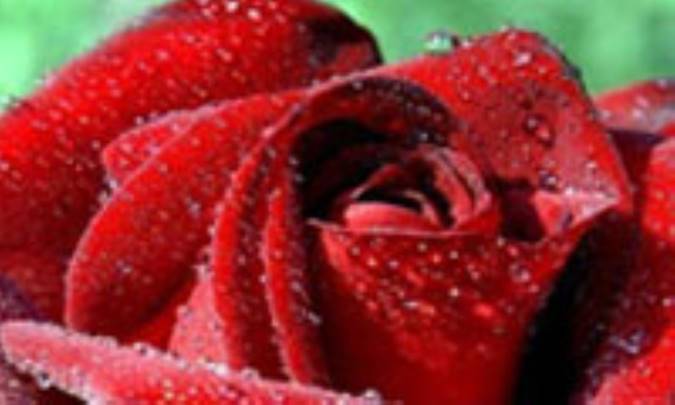 دیار محبت (قسمت اول)