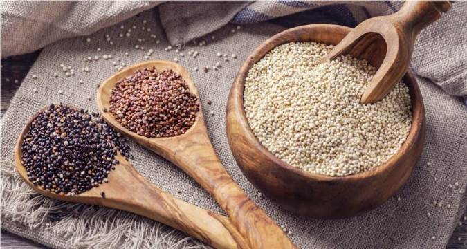 کینوا چیست و چه کاربردی دارد؟