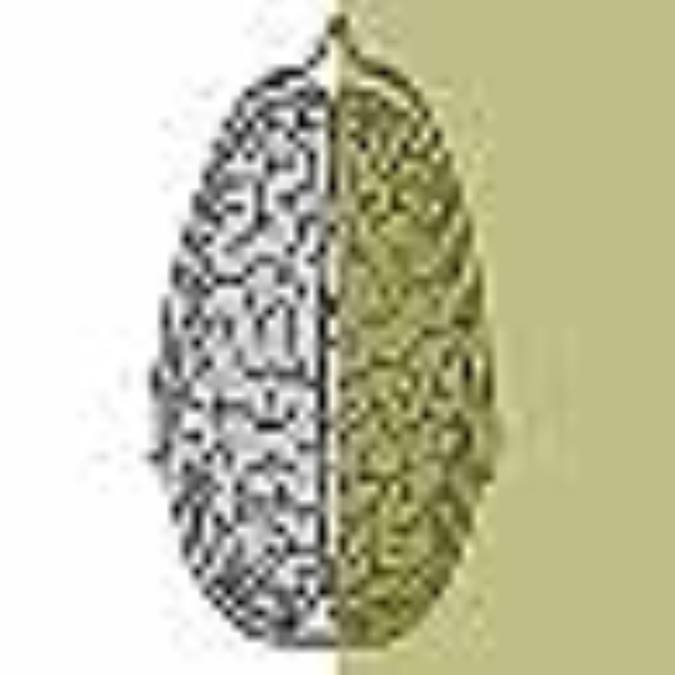 نيمکره راست مغز شما فعالتر است يا نيمکره چپ؟