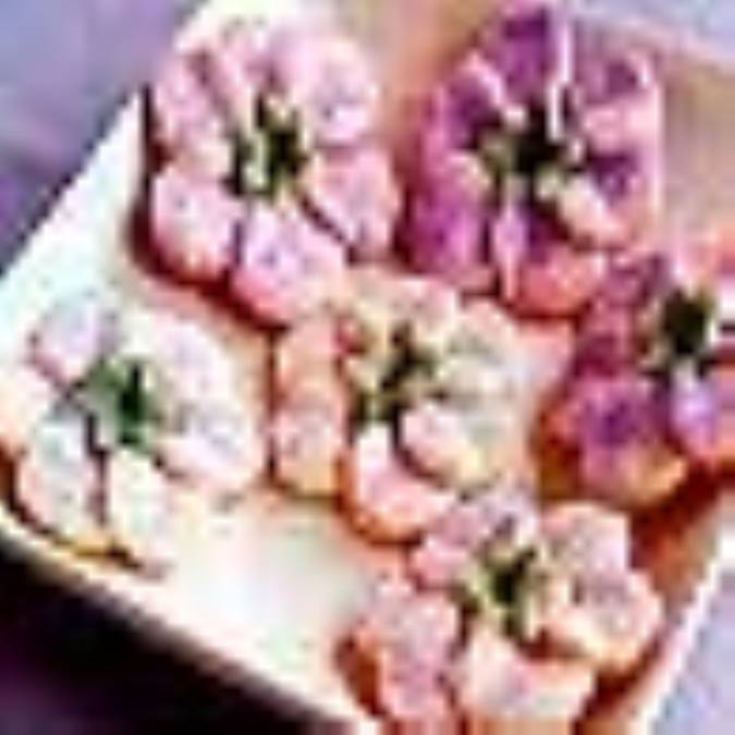 گل هاي رنگي بهاري