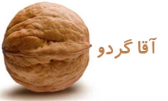 آقا گردو